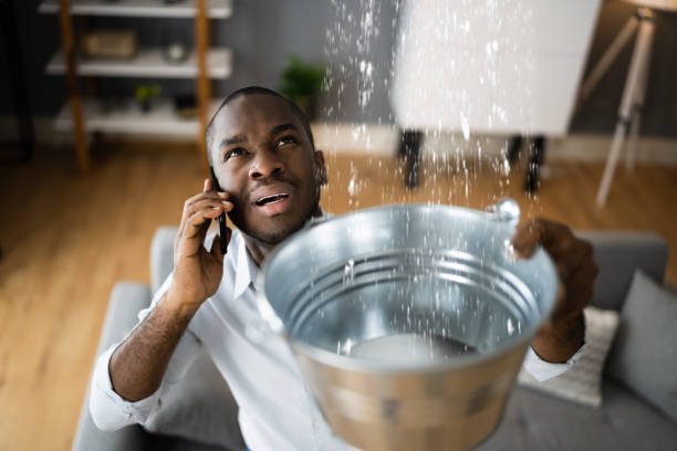 Best Water damage cleanup near me  in Lla Lla, WA