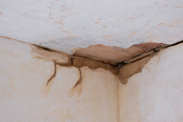 Best Emergency water damage restoration  in Lla Lla, WA