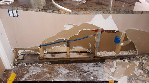 Best Flood damage cleanup  in Lla Lla, WA