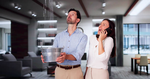 Best 24/7 water damage repair  in Lla Lla, WA
